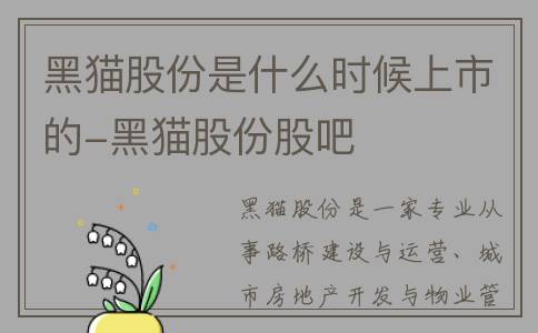 黑猫股份是什么时候上市的-黑猫股份股吧