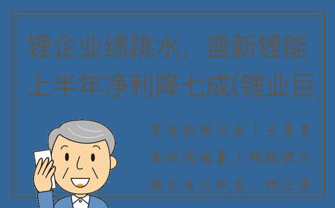 锂企业绩跳水，盛新锂能上半年净利降七成(锂业巨头传利好)
