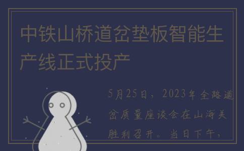 中铁山桥道岔垫板智能生产线正式投产
