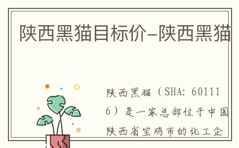 陕西黑猫目标价-陕西黑猫