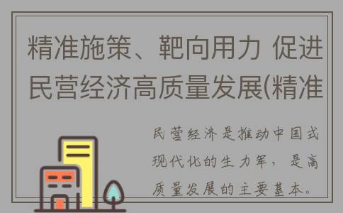 精准施策、靶向用力 促进民营经济高质量发展(精准施策,靶向发力不放松)