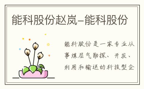 能科股份赵岚-能科股份