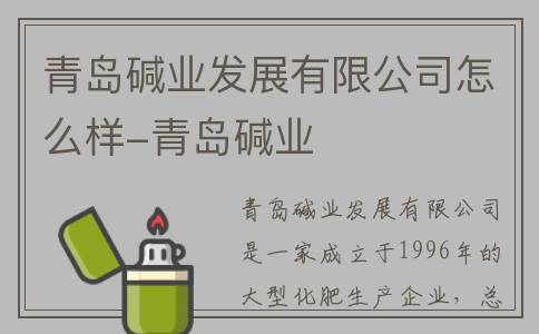 青岛碱业发展有限公司怎么样-青岛碱业