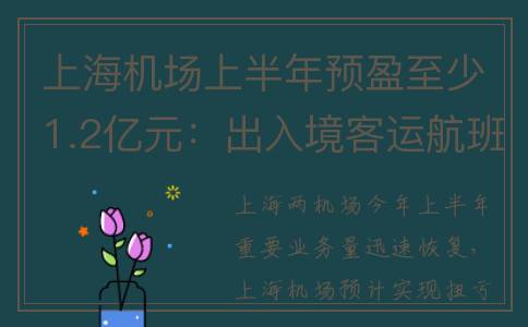 上海机场上半年预盈至少1.2亿元：出入境客运航班大幅增长(上海机场半年报)