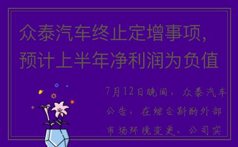 众泰汽车终止定增事项，预计上半年净利润为负值(众泰报警解除)