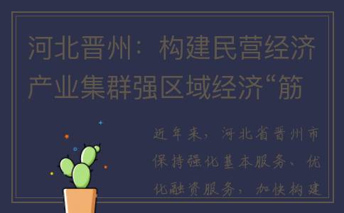 河北晋州：构建民营经济产业集群强区域经济“筋骨”(晋州市规划)