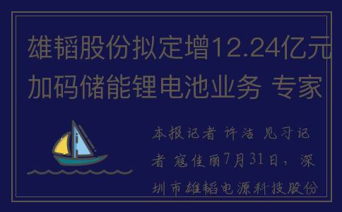 雄韬股份拟定增12.24亿元加码储能锂电池业务 专家称赛道竞争关键在于技术和质量(雄韬股份重组)