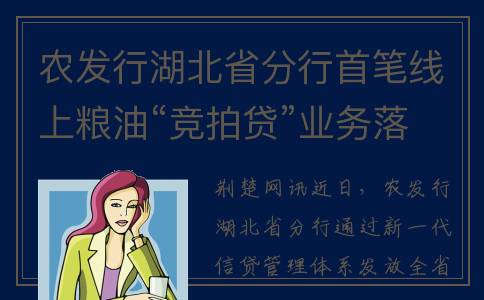 农发行湖北省分行首笔线上粮油“竞拍贷”业务落地(农发行湖北省分行招聘公示)