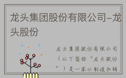 龙头集团股份有限公司-龙头股份