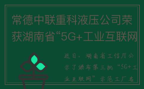 常德中联重科液压公司荣获湖南省“5G+工业互联网”示范工厂