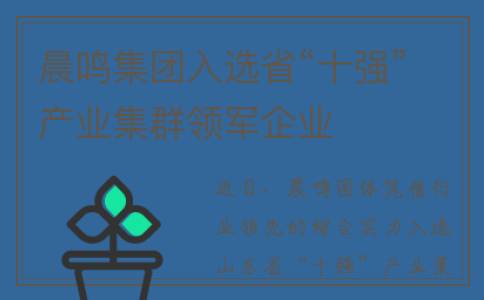 晨鸣集团入选省“十强”产业集群领军企业