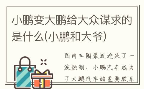 小鹏变大鹏给大众谋求的是什么(小鹏和大爷)