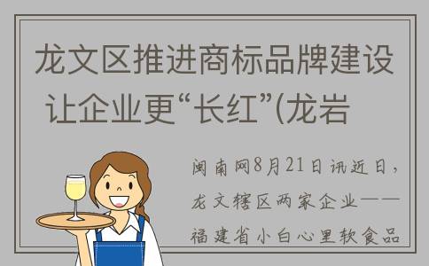 龙文区推进商标品牌建设 让企业更“长红”(龙岩商标局)