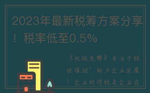2023年最新税筹方案分享！税率低至0.5%