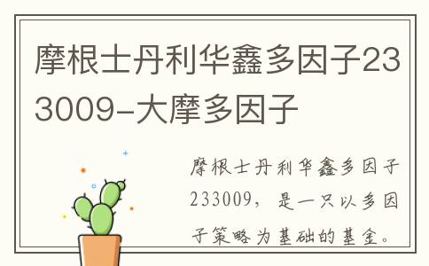 摩根士丹利华鑫多因子233009-大摩多因子