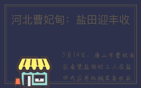 河北曹妃甸：盐田迎丰收