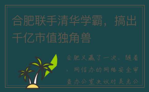 合肥联手清华学霸，搞出千亿市值独角兽