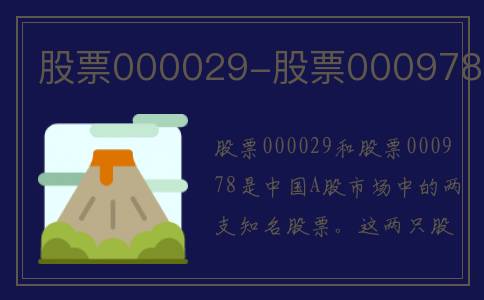 股票000029-股票000978