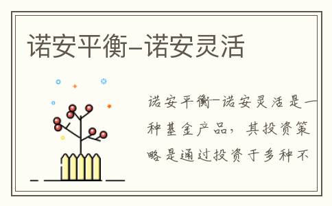 诺安平衡-诺安灵活