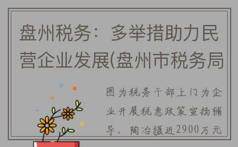 盘州税务：多举措助力民营企业发展(盘州市税务局官网)