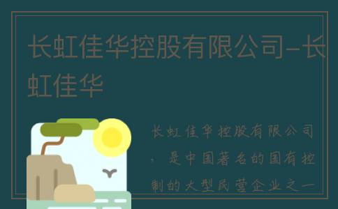 长虹佳华控股有限公司-长虹佳华